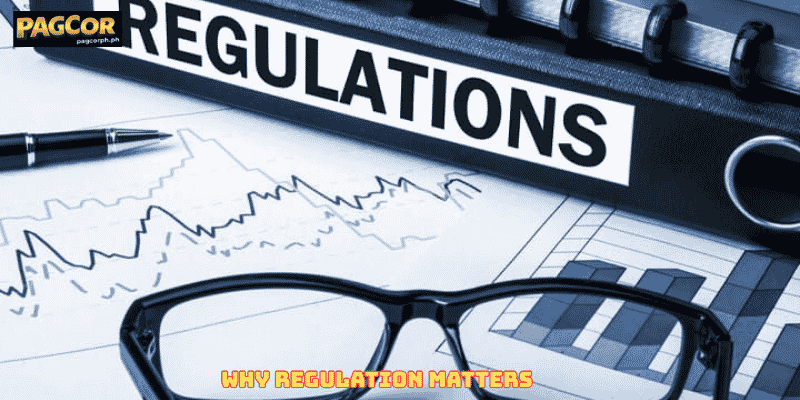 Why Regulation Matters